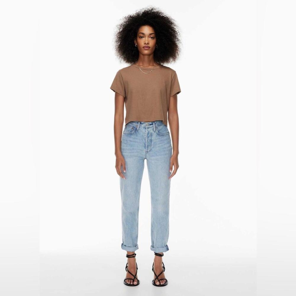 Aritzia Denim Forum The Boyfriend High Rise Loose - 25